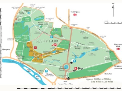 Location, Bushy Park
