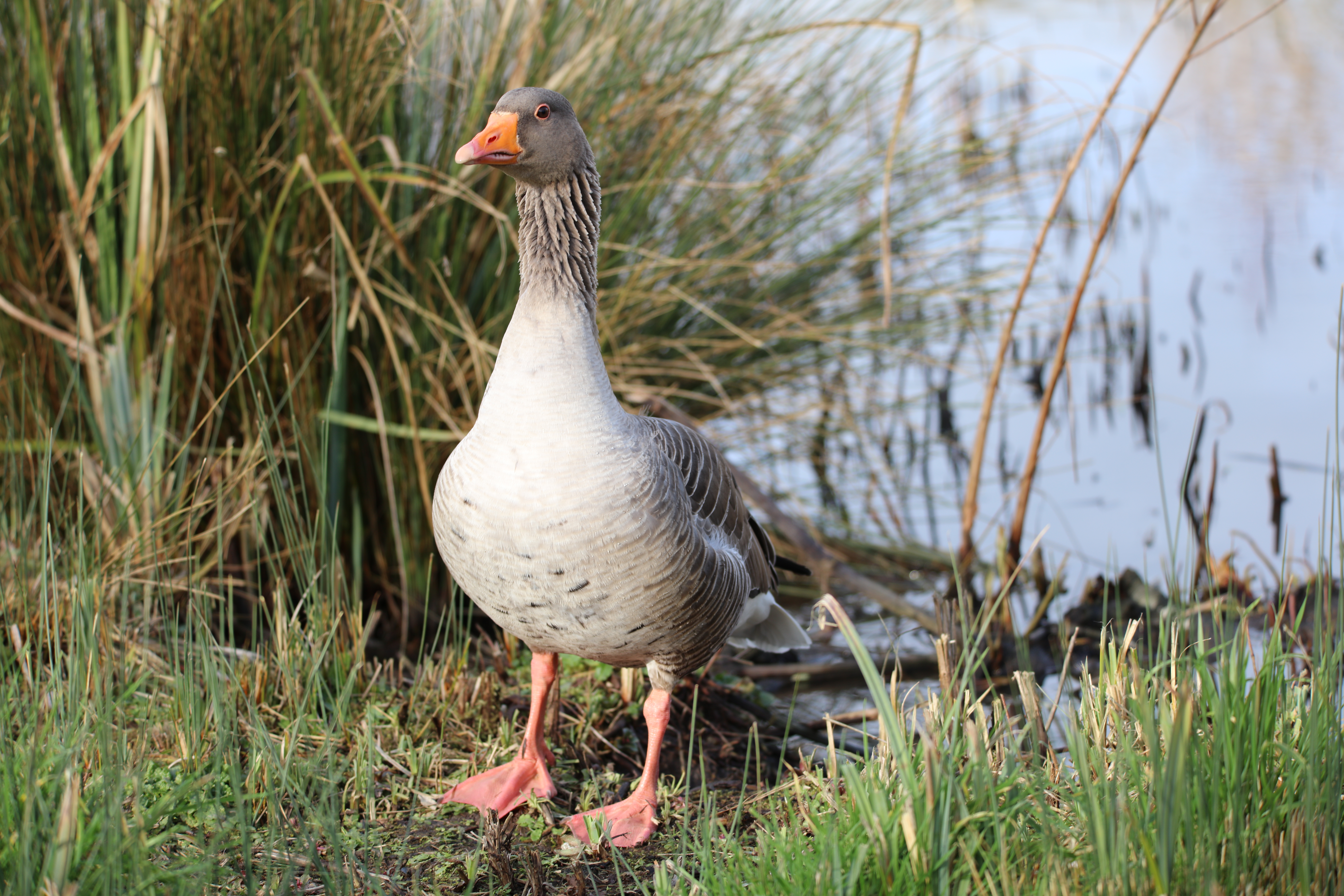 ED17C2EA-3D32-458B-92A6-6901D0AA0E93