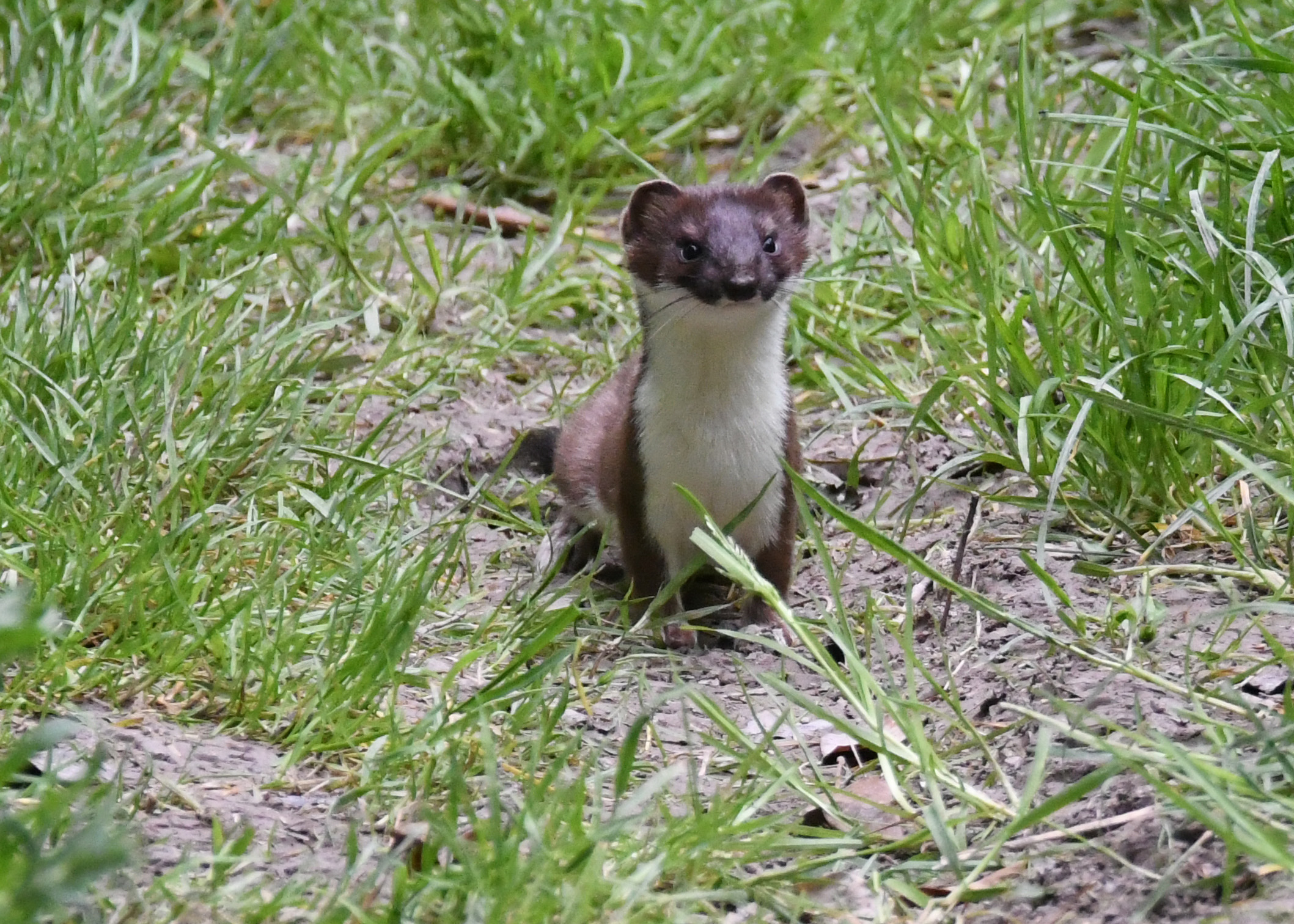 1CC0610C-BFC2-44CE-B1F5-FB73A4ACCDF7