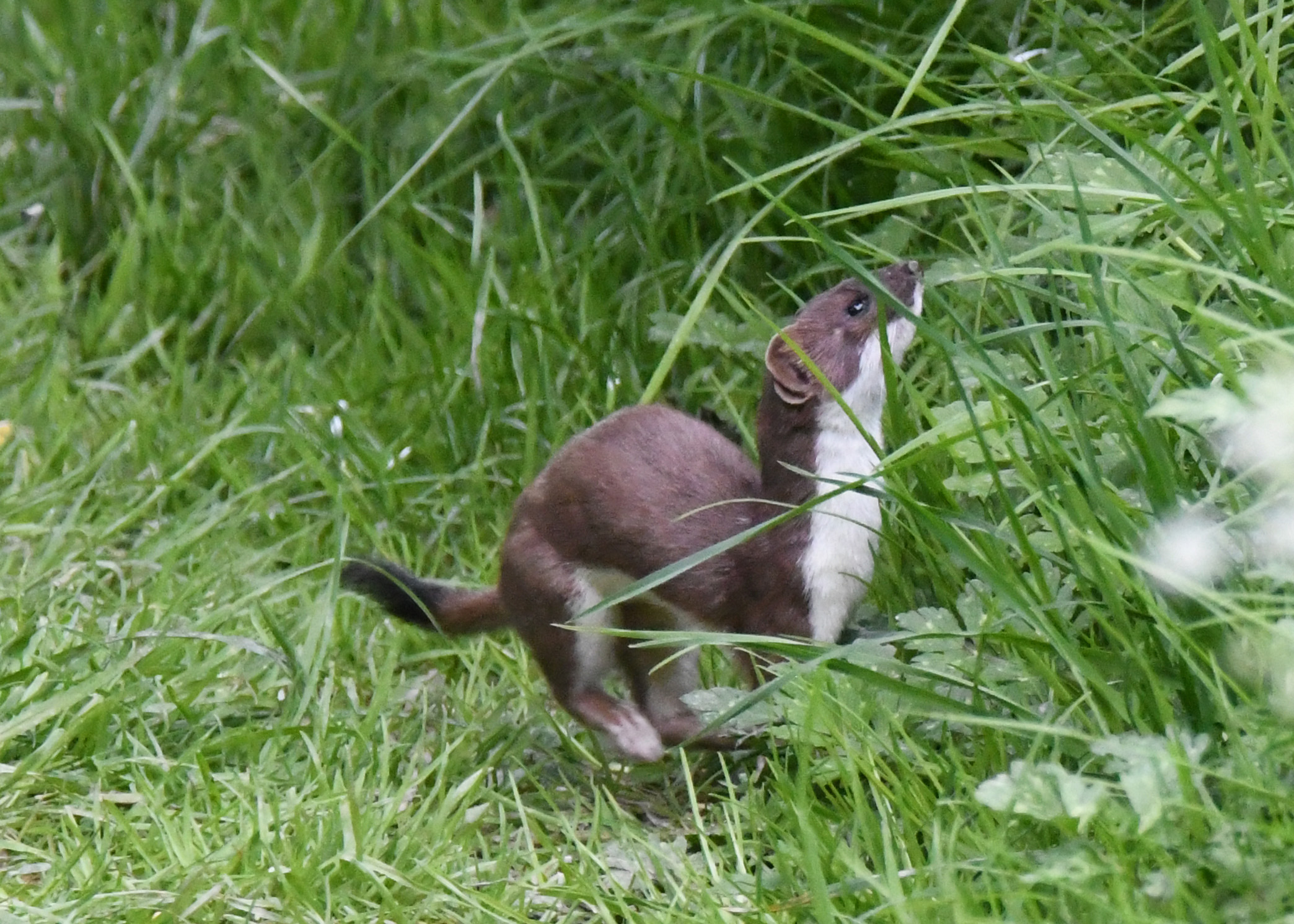 95B5732F-C34D-41F5-A459-1341EA0110B3