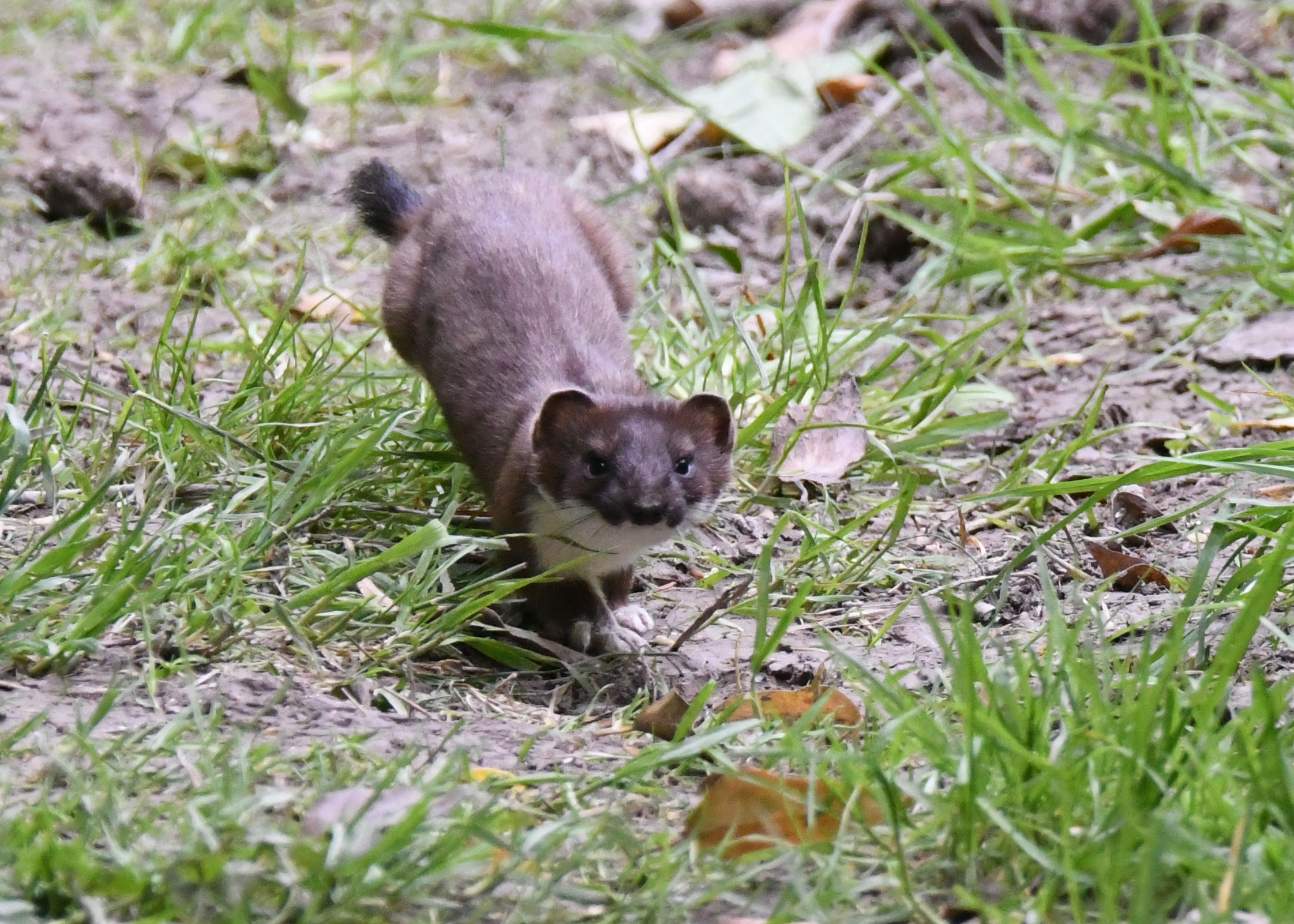 EBB97815-2F4F-4517-9CFD-BFFF597CCEAF