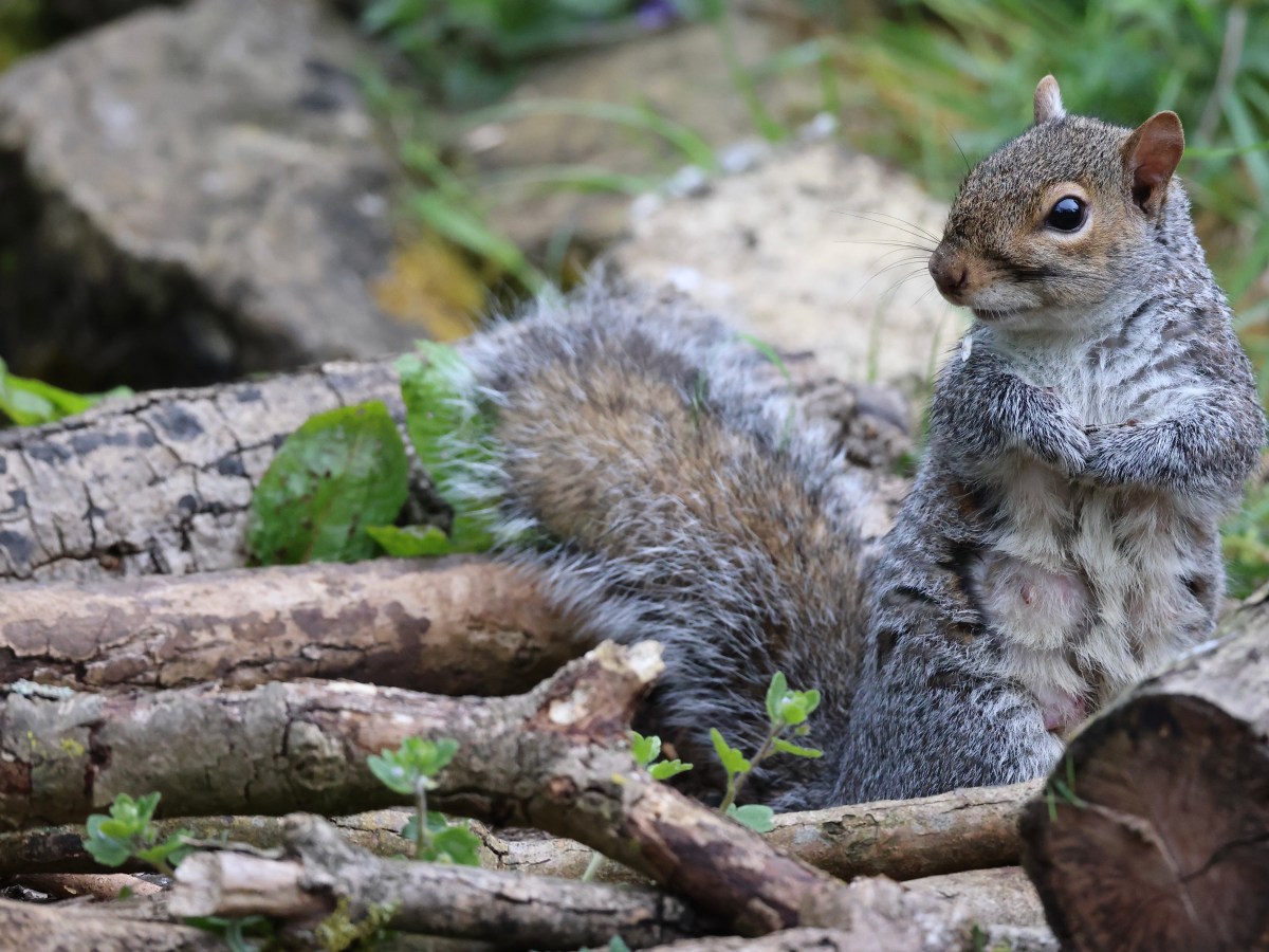 THE HIDE –&nbsp;SLEEP